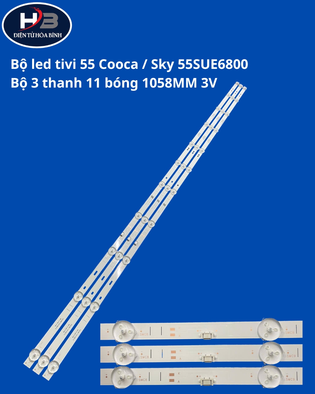 55 Cooca